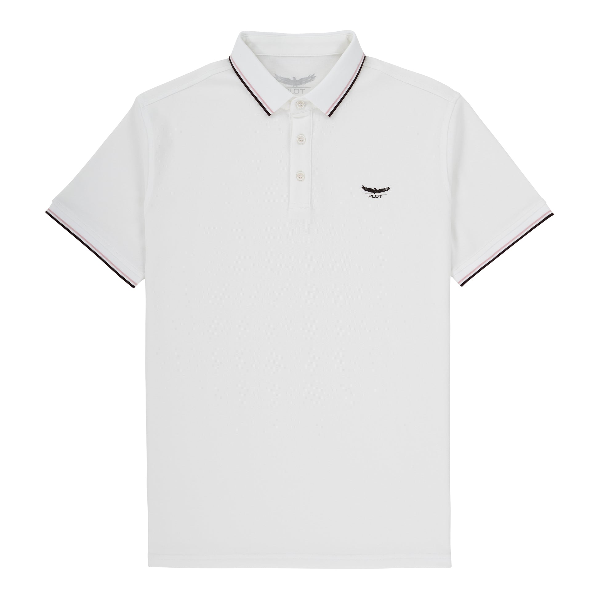 Ashton Polo